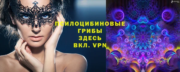 СК Щучье