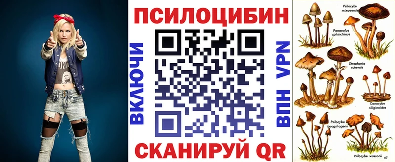 Галлюциногенные грибы Psilocybe Боровск
